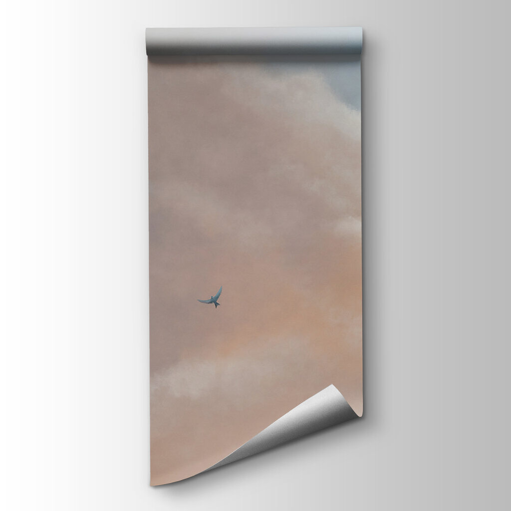 Birds beneath the clouds — product view