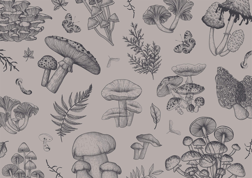 Mushroom Field Notes — full design