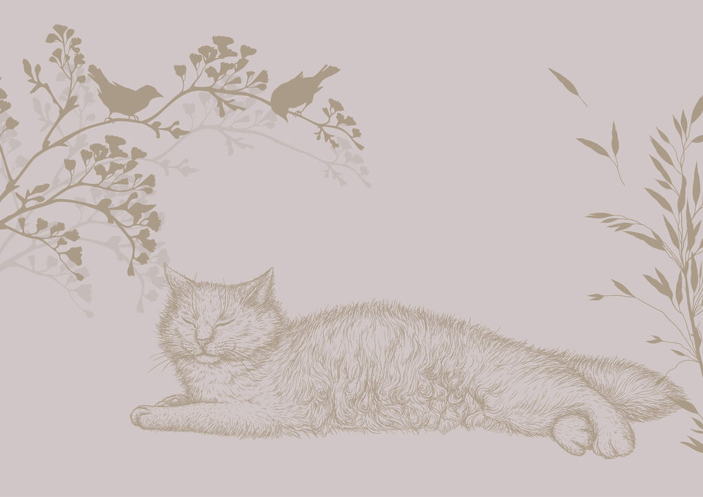 Sleeping cat under twigs — full design
