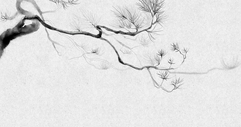Fine pine branch — full design