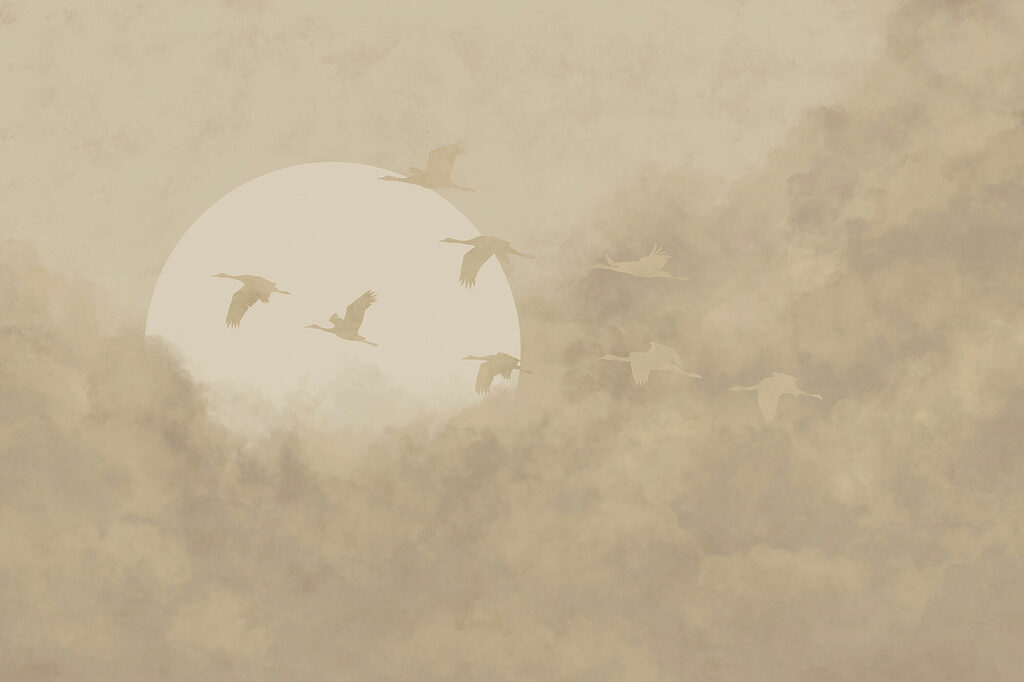 Flight Together — full design