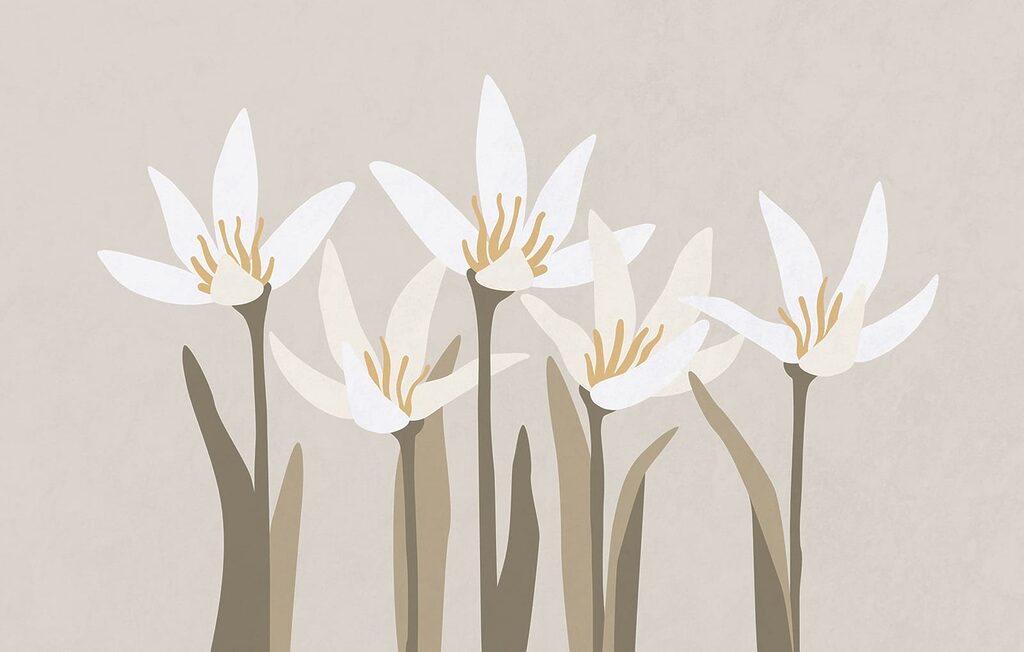 Stylised white blooms — full design