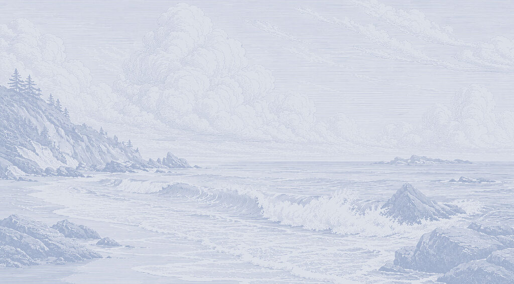 Pale coastline with pines — full design