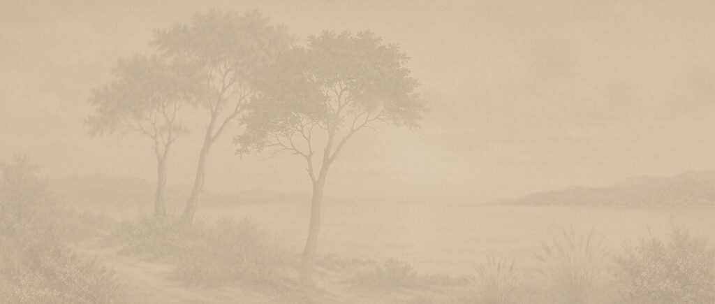 Trees in the Haze — full design