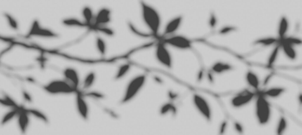 Branch Silhouettes — full design