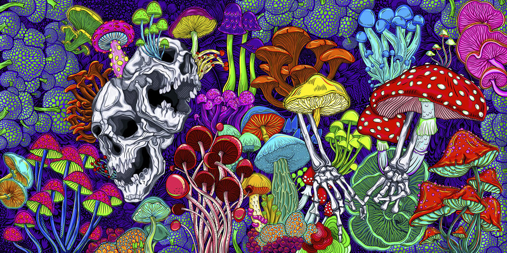 Mushroom Skull Kaleidoscope — full design