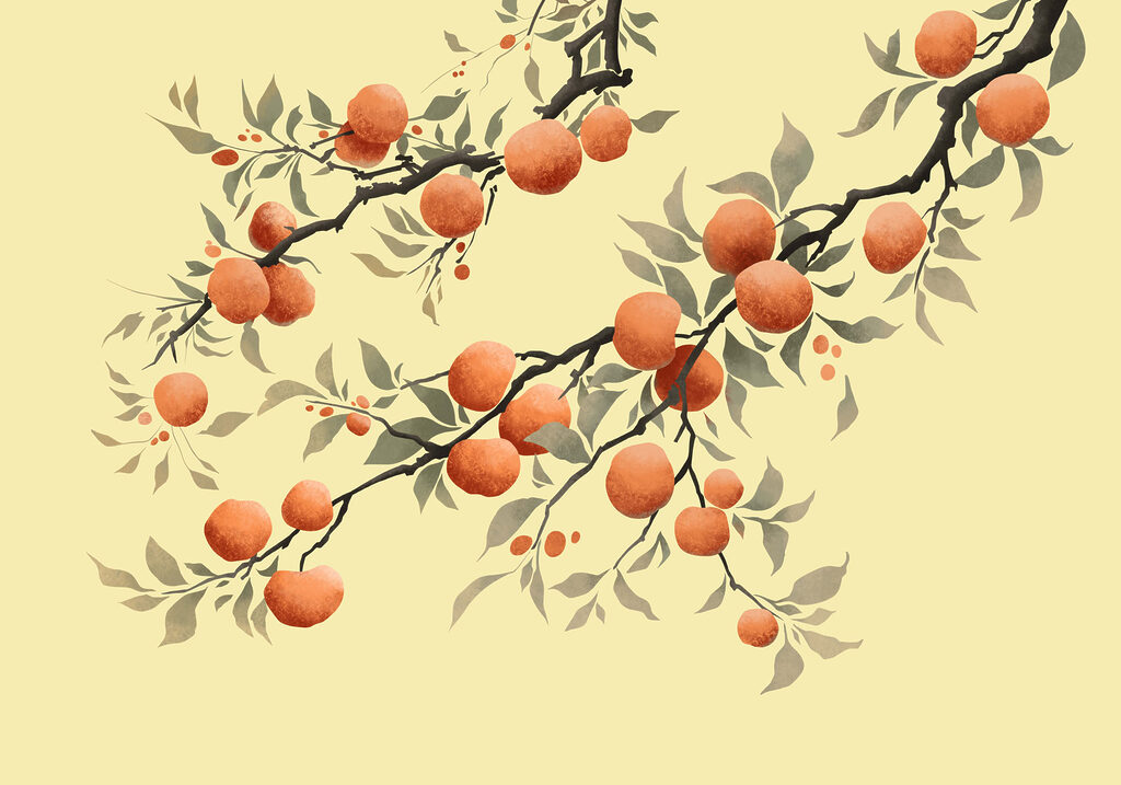 Orange Tree Boughs — full design
