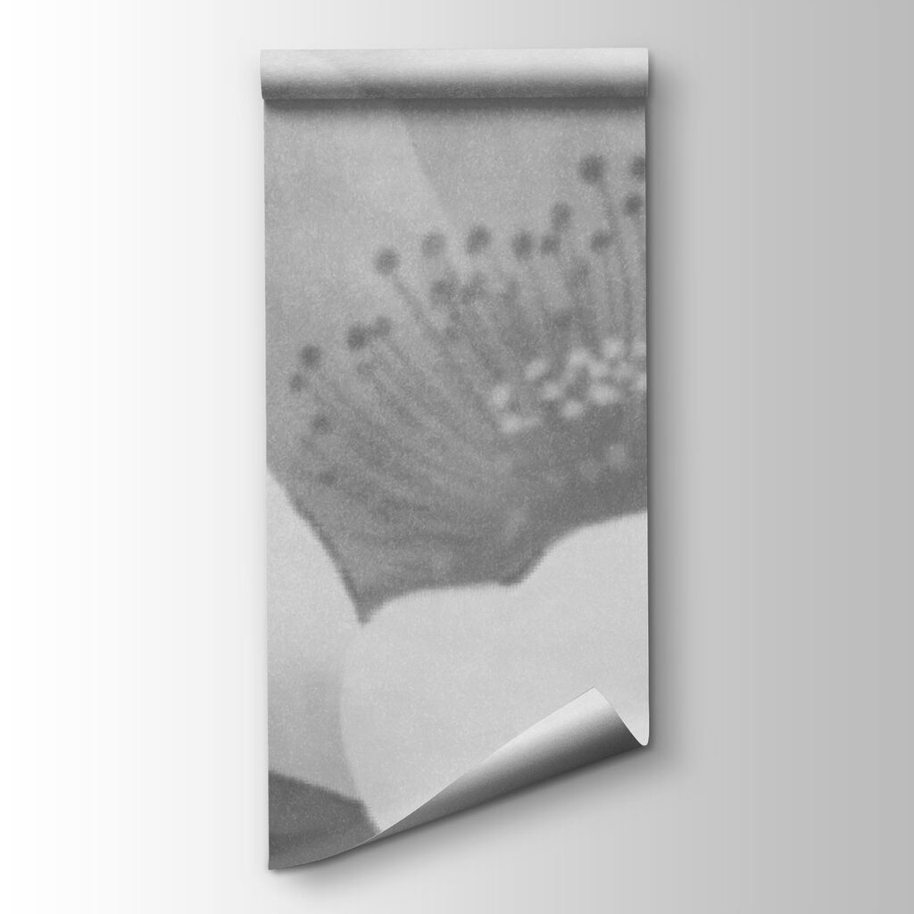 Bloom in Soft Focus — product view