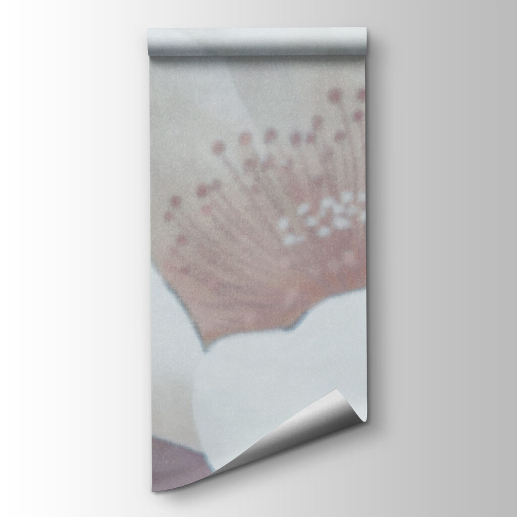 Bloom in Soft Focus — product view