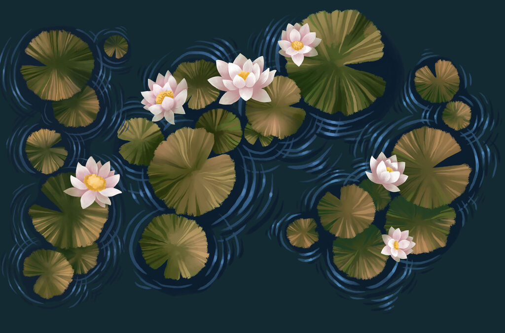 Water Lily Pond — full design