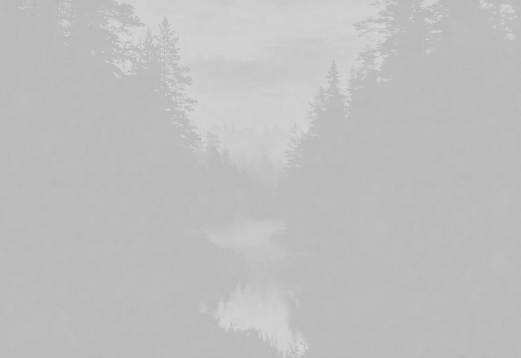 Forest Reflections — full design