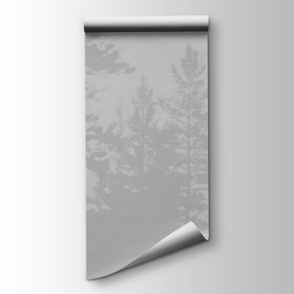 Forest Reflections — product view
