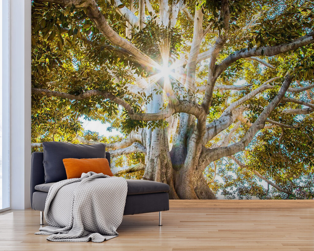 Sunbeams behind tree roots — interior 3