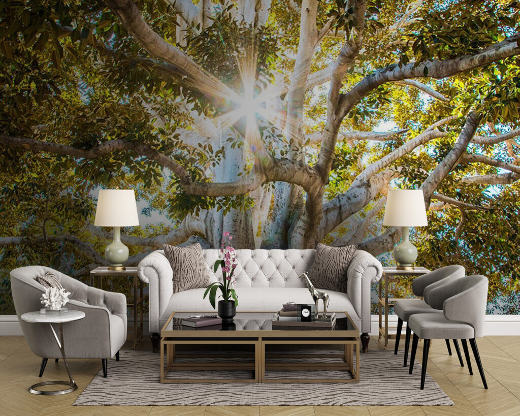 Sunbeams behind tree roots — interior 1