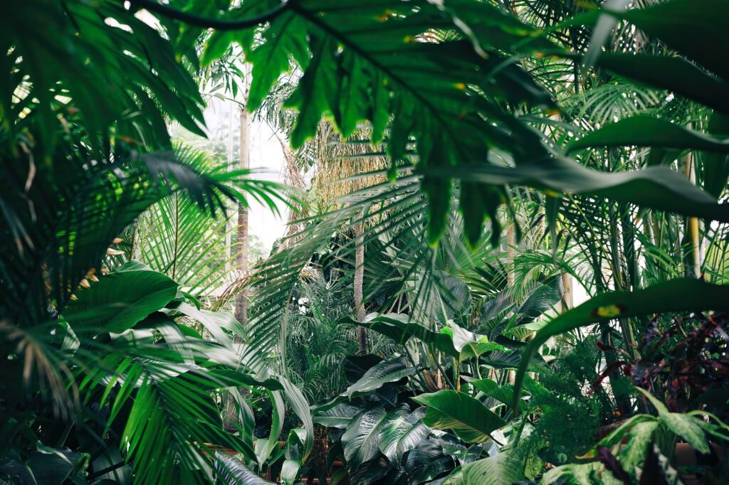 Deep green jungle leaves — full design