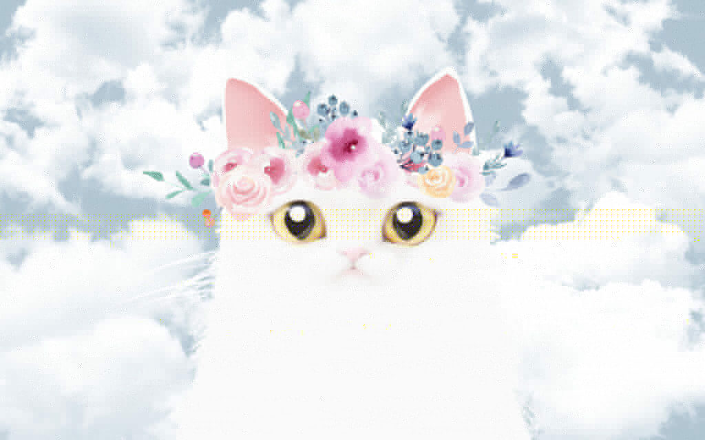 White cat above clouds — full design