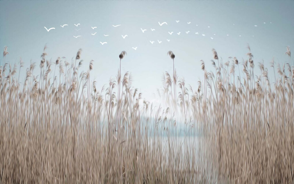 Birds above dry reeds — full design