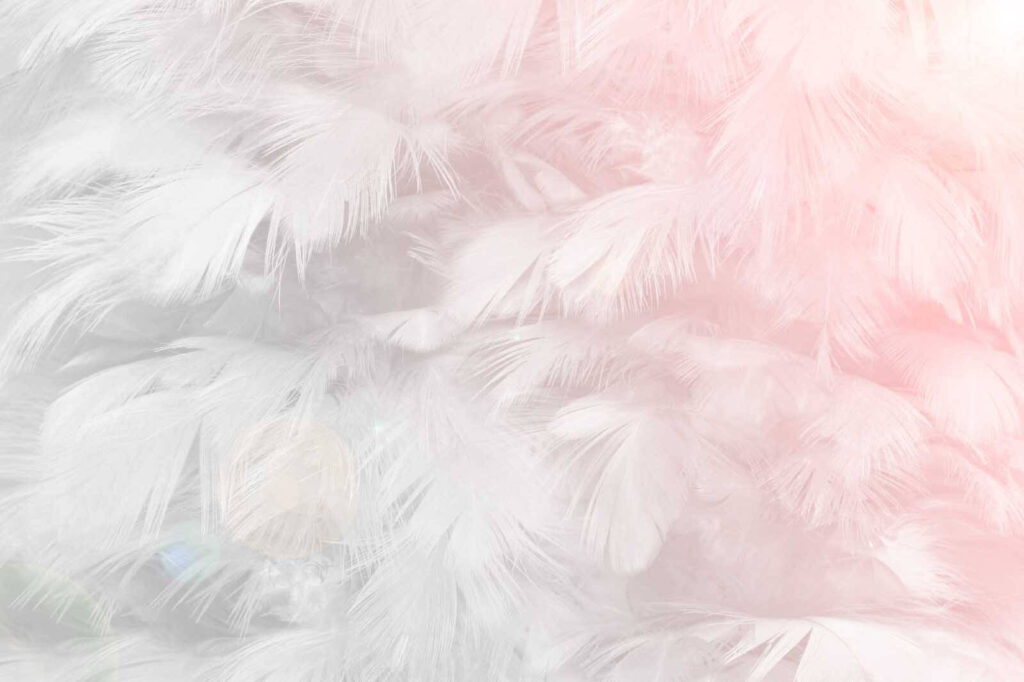 Feather Cloud — full design