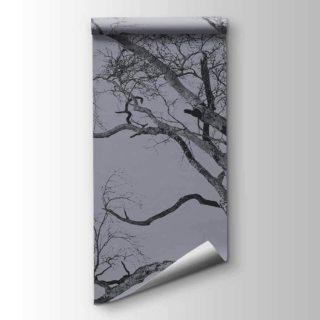 Moon behind bare branches — product view