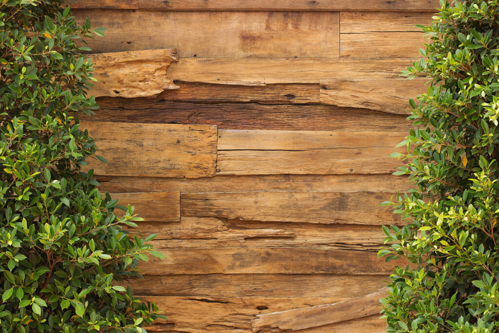 Ivy frames old planks — full design