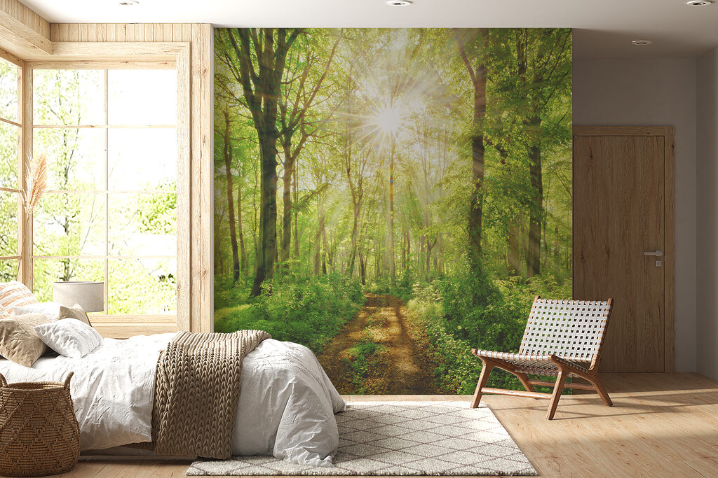 Sunlit Woodland Path — interior 7