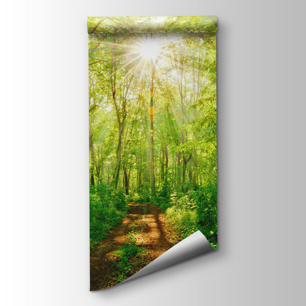 Sunlit Woodland Path — product view