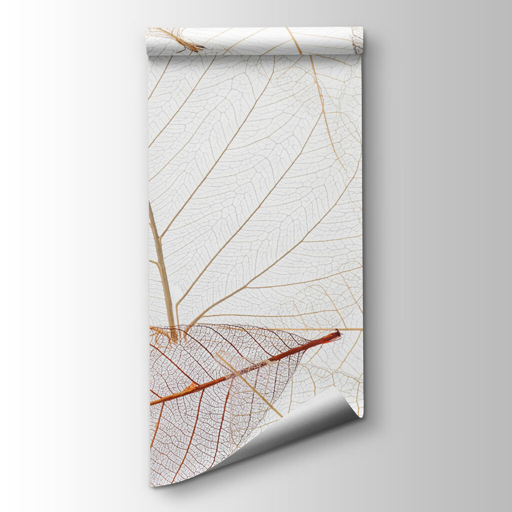 Leaf skeletons in lines — product view
