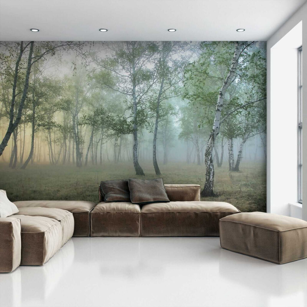 Birch wood in mist — interior 5