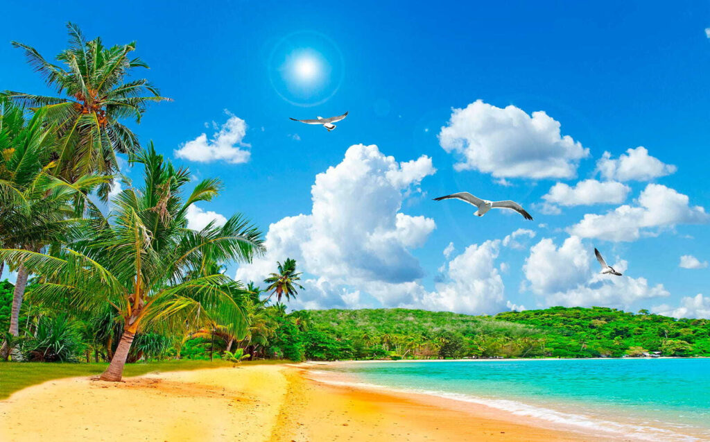 Sunny beach with palms — full design