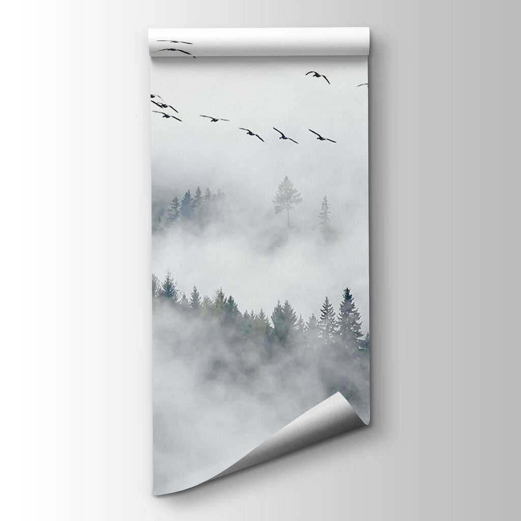 Conifers in white fog — product view