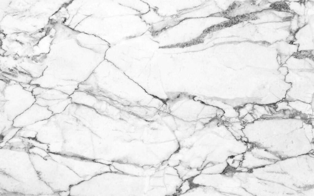 Dark veins branching wide — full design