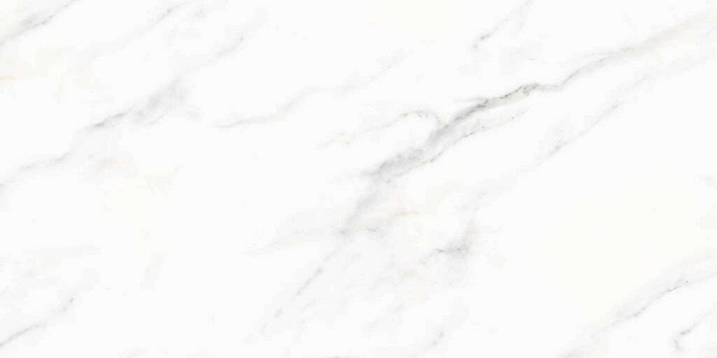 Pale veins fading away — full design