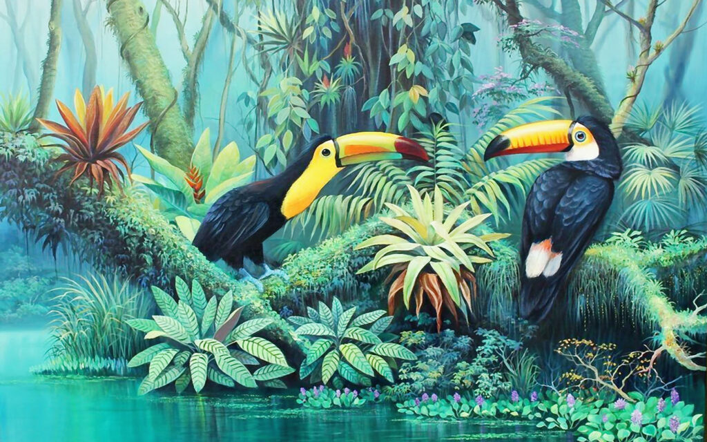 Toucan Rainforest — full design