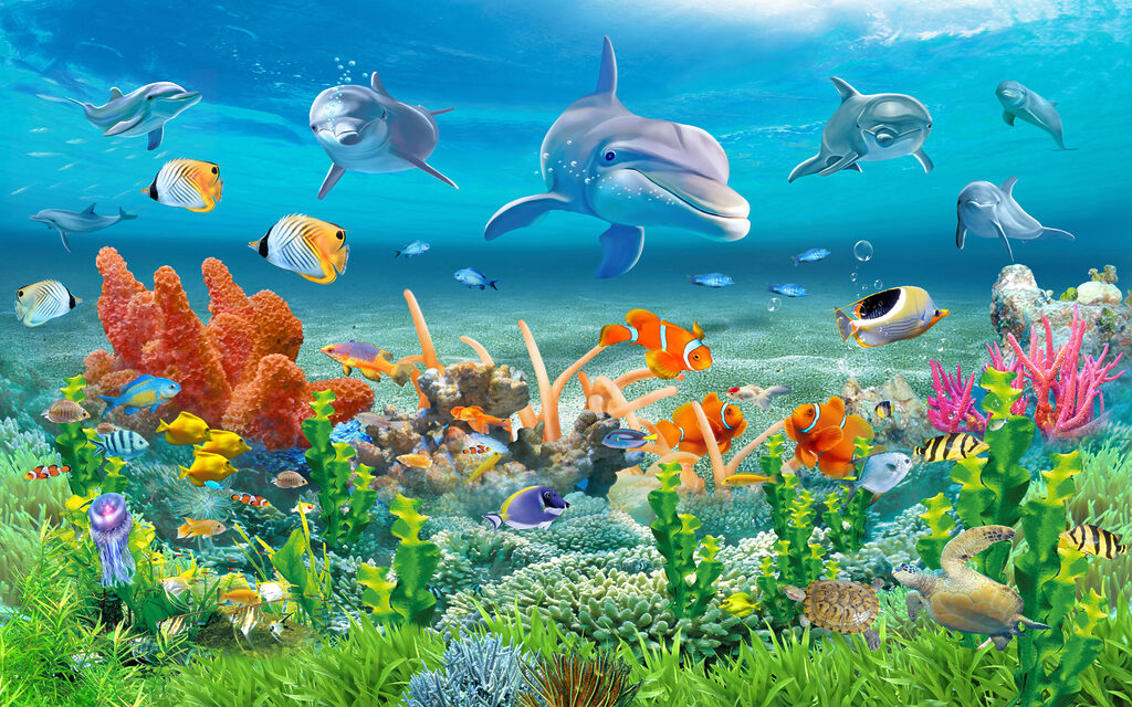 Dolphins above coral — full design