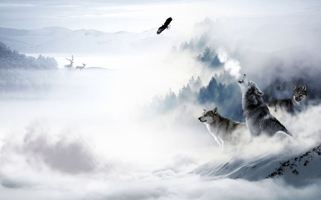 Wolves in the Mist — full design