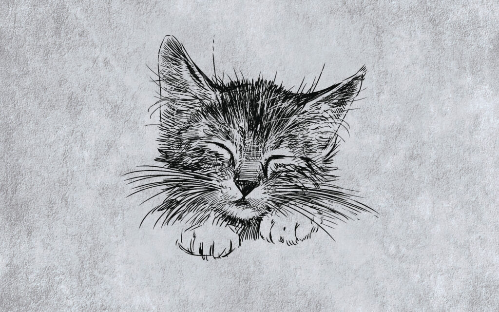 Sleepy Cat Sketch — full design