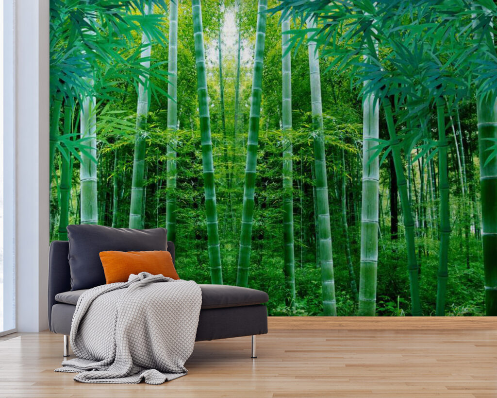 Light between tall bamboo — interior 2