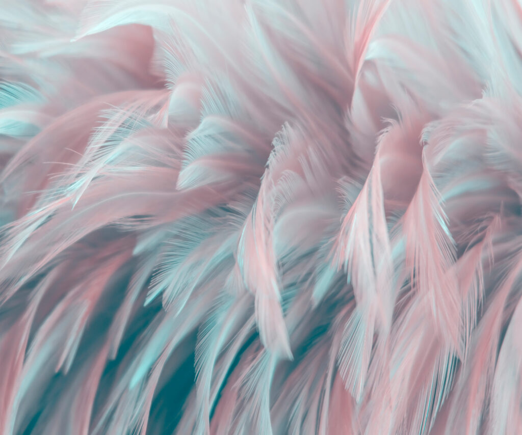 Feather Breeze — full design