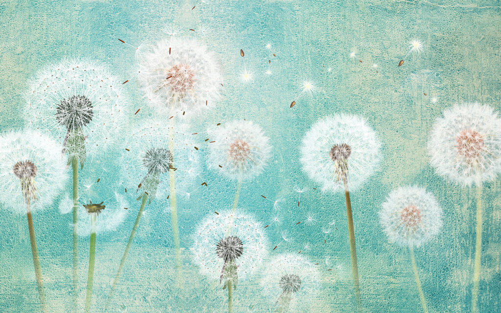 Dandelion Glow — full design