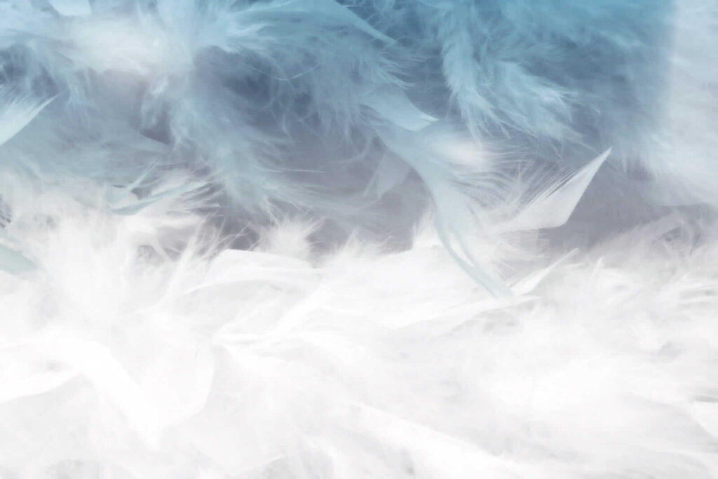 Feathers in blue mist — full design