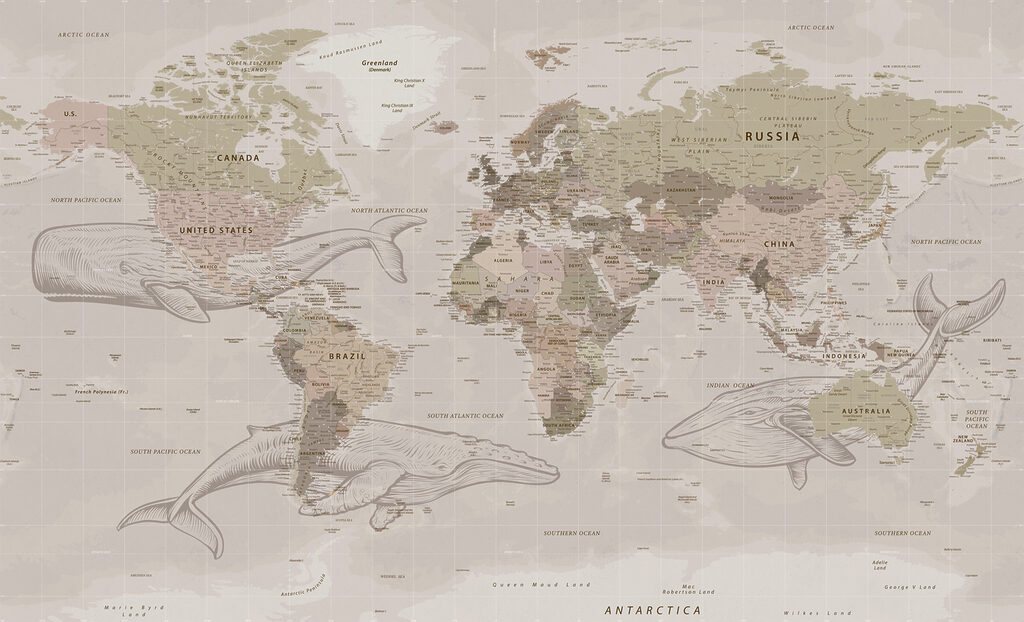 Whale Explorer's Map — full design