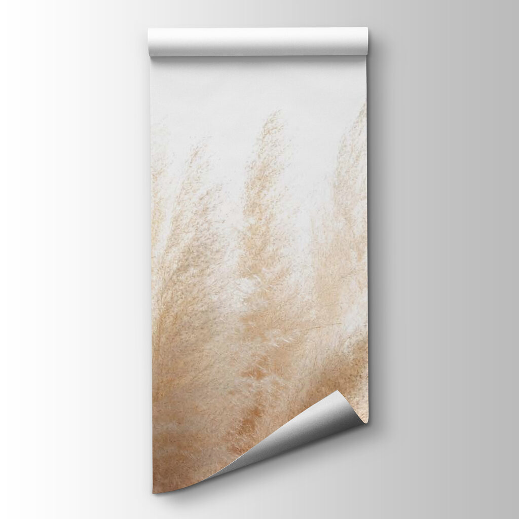 Plume grass in light — product view