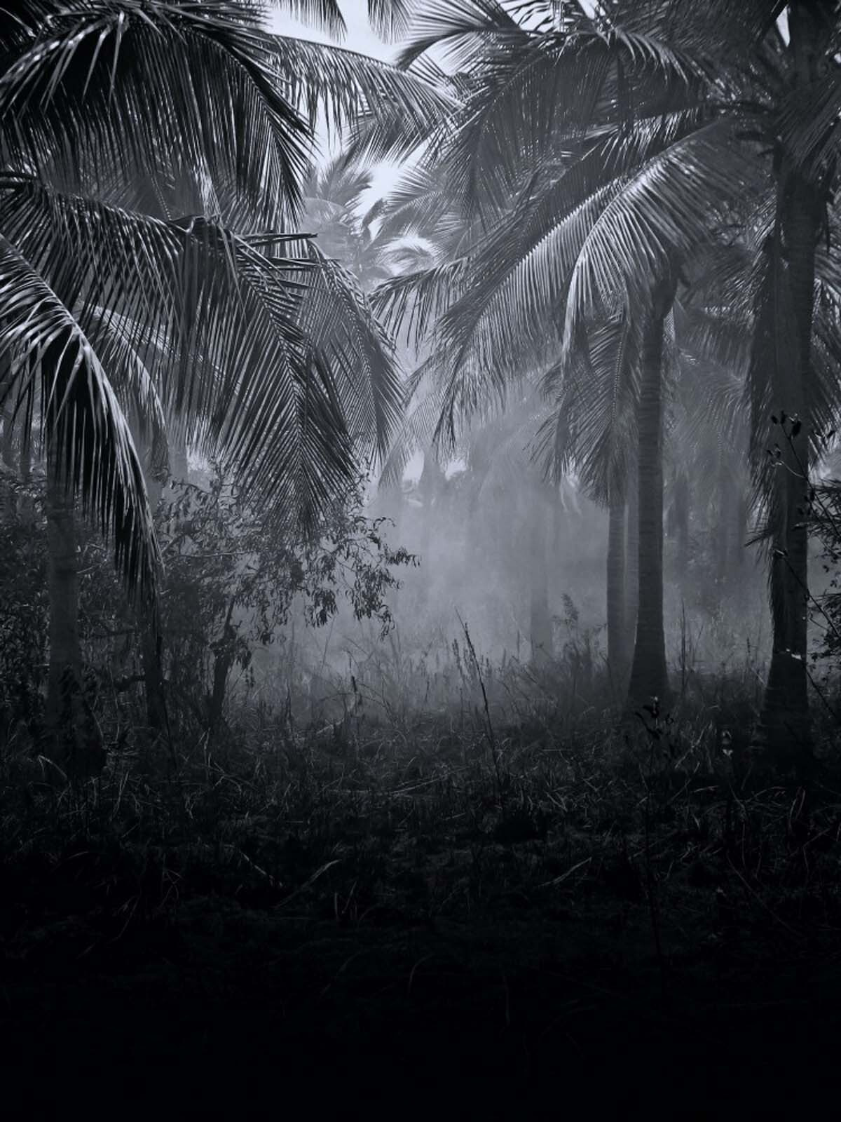 Jungle path in mist — full design