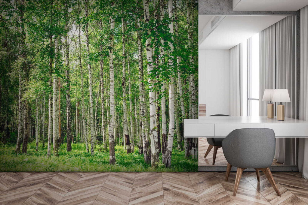 Birch trunks over grass — interior 2