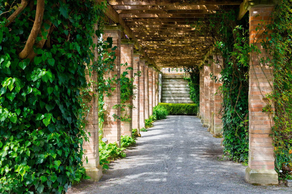Path under a pergola — full design