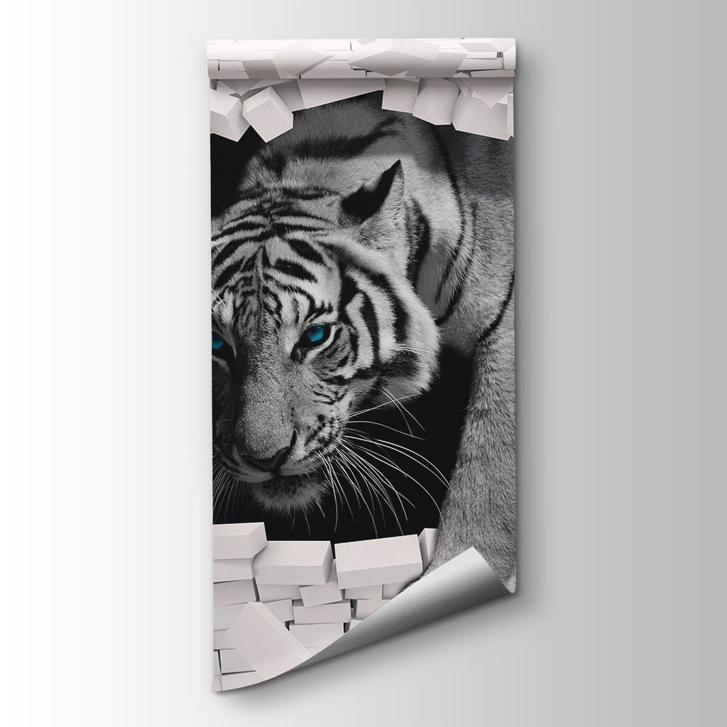 Tiger Through the Wall — product view
