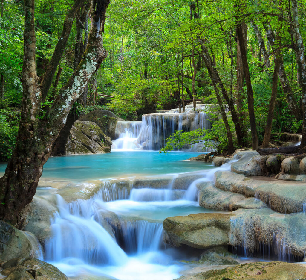 Woodland Cascades — full design