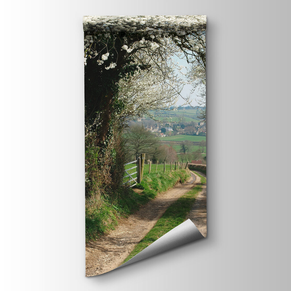 Blossom Lane — product view