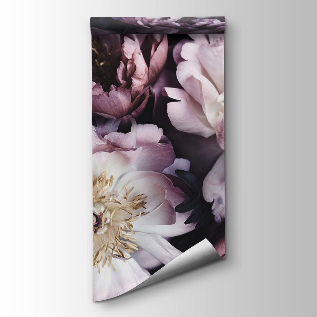Dark peonies in light — product view
