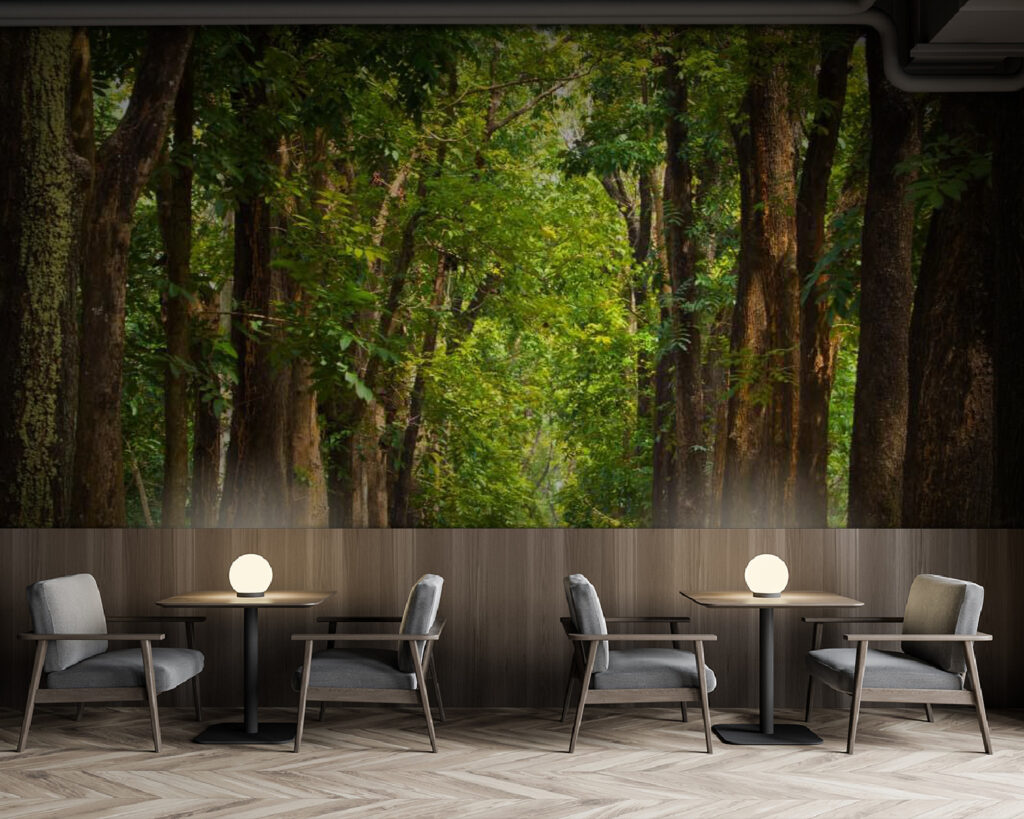 Long tree-lined avenue — interior 1
